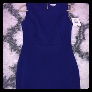 Calvin Klein Dress (new)
